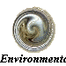 Environmental Ethics